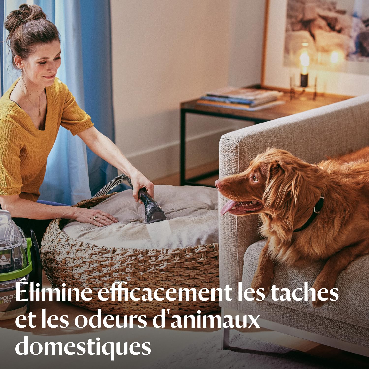 bissell-spotclean-pet-pro-15585-shampouineuse-animaux-750w image 3