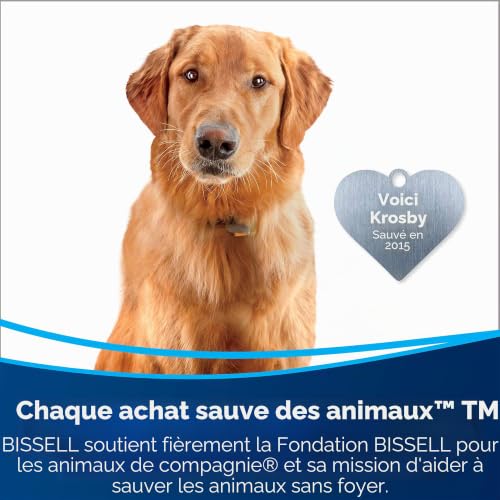 bissell-outil-2-en-1-3259-brosse-canap-tapis-animaux image 8