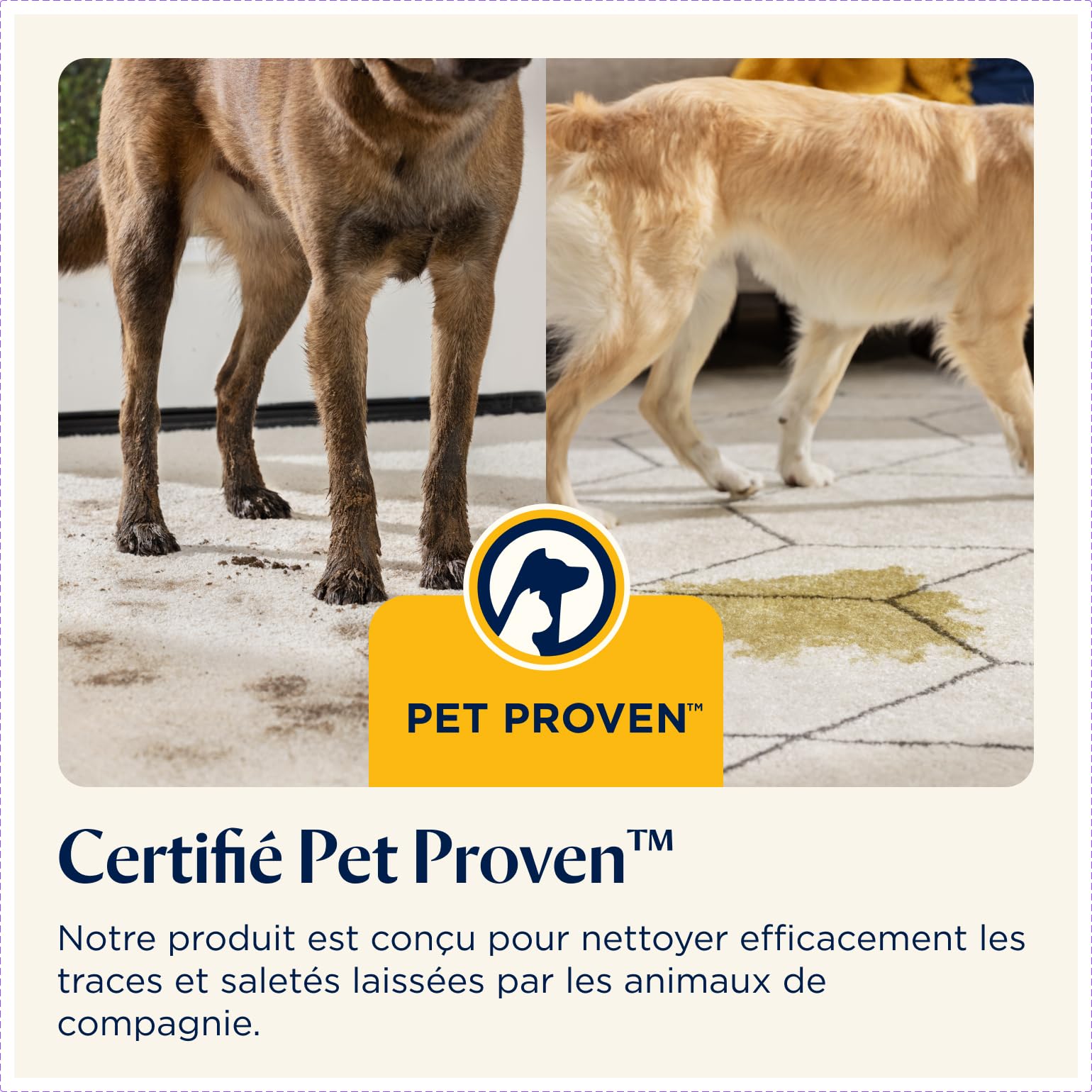 bissell-spotclean-pet-pro-15585-shampouineuse-animaux-750w image 8