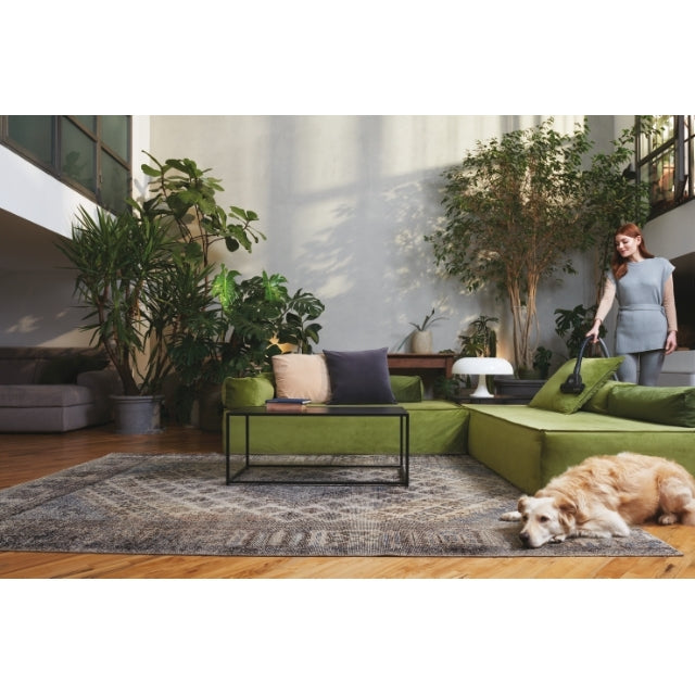 hoover-windtunnel-telios-extra-txl80pet-aspirateur-tra-neau image 3